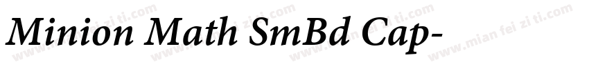 Minion Math SmBd Cap字体转换